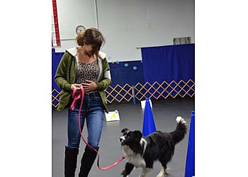 Washington Dog Training LianaFit Canine Conditioning