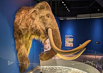 Jersey City Places To See Liberty Science Center