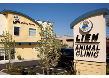 Lien Animal Clinic Seattle Veterinary Clinics