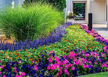 Denver Landscaping Companies Lifescape Colorado