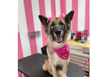 Pomona Pet Grooming Lili's Pet Grooming Spa & Boutique