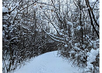 Ann Arbor Hiking Trails Lillie Park