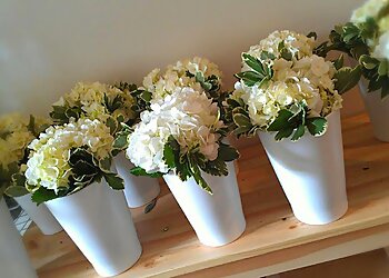 Ann Arbor Florists Lily's Garden