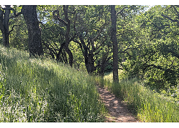 Walnut Creek Hiking Trails Lime Ridge Open Space