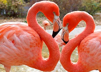 Lincoln Places To See Lincoln Children's Zoo