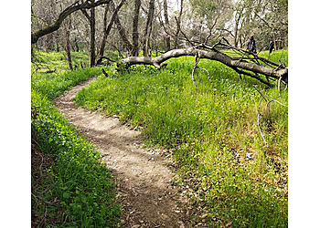 Lincoln Estates Park Roseville Hiking Trails image 1