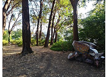 Seattle Hiking Trails Lincoln Park