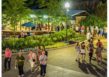 Chicago Places To See Lincoln Park Zoo