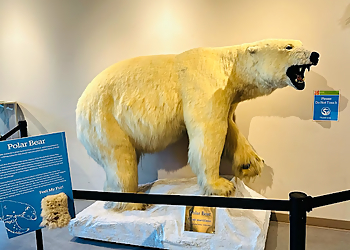 Concord Places To See Lindsay Wildlife Experience