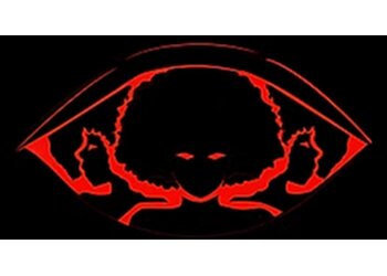 Garland Private Investigation Service Linson Eye Investigation