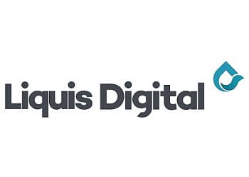 Liquis Digital Peoria Web Designers