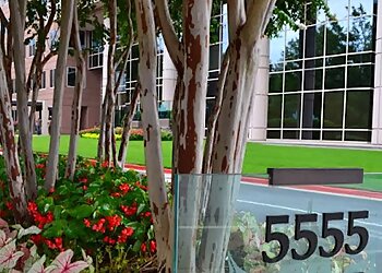 Atlanta Social Security Disability Lawyers Lisa Smith Siegel - LISA SMITH SIEGEL, ATTORNEY AT LAW