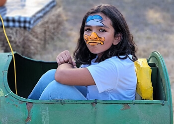 Austin Face Painting Lisa's Face Painting