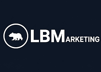 Little Big Marketing - Oceanside, CA Advertising Agencies - Company Logo