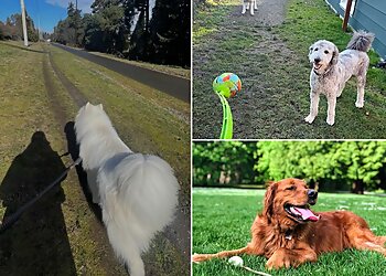 Seattle Dog Walkers Little Furry Things, LLC