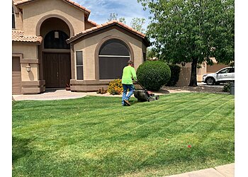 Mesa Lawn Care Services Little John's Lawns