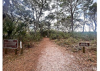 Jacksonville Hiking Trails Little Talbot Island State Park
