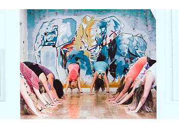 Killeen Yoga Studios Live And Let Liv Yoga