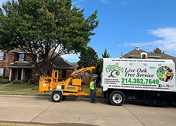 Live Oak Tree Service Dallas Tree Services image 1