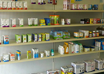 Augusta Pharmacies Living Well Pharmacy