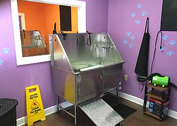 Durham Pet Grooming Livy’s Lavish Self Wash & Grooming