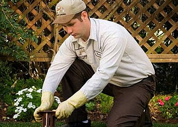 Santa Ana Pest Control Companies Lloyd Pest Control, Santa Ana