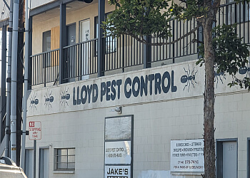 Santa Ana Pest Control Companies Lloyd Pest Control, Santa Ana