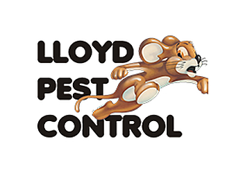 Chula Vista Pest Control Companies Lloyd Pest Control San Marcos