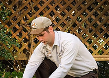Lloyd Pest Control San Marcos Chula Vista Pest Control Companies image 1