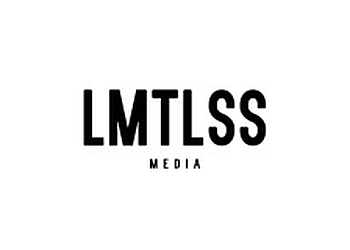 Lmtlss Media Lowell Web Designers image 1