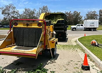 Lns Tree Service Oxnard Tree Services image 1