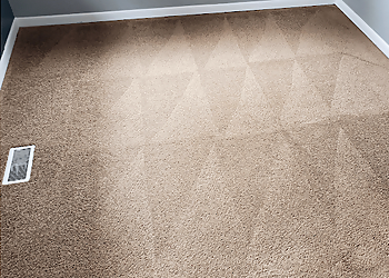 LocalPro Carpet Cleaning of Chattanooga - Chattanooga, TN Carpet Cleaners - Service Highlights
