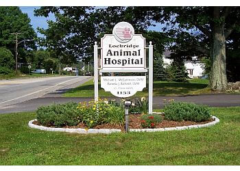 Lockridge Animal Hospital Manchester Veterinary Clinics