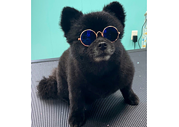 Mobile Pet Grooming Lola Bell’s Pet Facility, Inc.