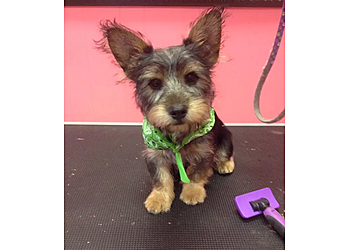 Mobile Pet Grooming Lola Bell’s Pet Facility, Inc.