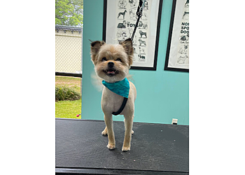Lola Bell’s Pet Facility, Inc. Mobile Pet Grooming image 1