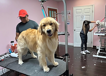 Fort Lauderdale Pet Grooming Lollipaws Grooming Services