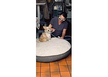 Visalia Veterinary Clinics Lone Oak Veterinary Clinic