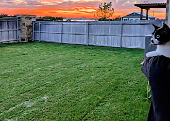 Abilene Lawn Care Services Lone Star Lawn and Pest