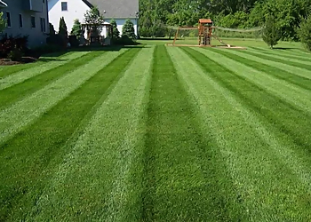 Lopez & Dolo Lawn Care - Kansas City, KS Lawn Care Services - Project Image