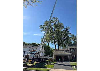 Lopez Tree Services - Alexandria, VA Tree Services - Service Highlights