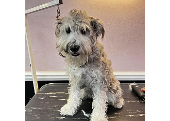 Lorrie's Paw Spa - Rancho Cucamonga, CA Pet Grooming - Service Image
