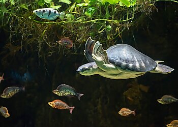 Los Angeles Places To See Los Angeles Zoo and Botanical Gardens