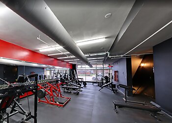 Minneapolis Gyms Los Campeones Gym Minneapolis