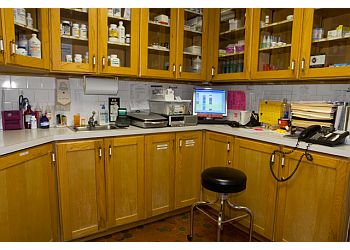 Los Angeles Veterinary Clinics Los Feliz Small Animal Hospital