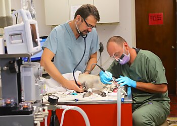 Los Angeles Veterinary Clinics Los Feliz Small Animal Hospital