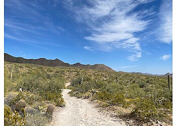 Scottsdale Hiking Trails Lost Dog Wash Trailhead