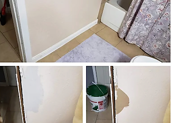 Louie's Home Repair - Irving, TX Handyman - Service Highlights