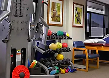 Anchorage Physical Therapists Louis, MSPT, Dip. MDT - INTEGRATIVE PHYSICAL THERAPY AND SPINE TREATMENT CENTER INC.