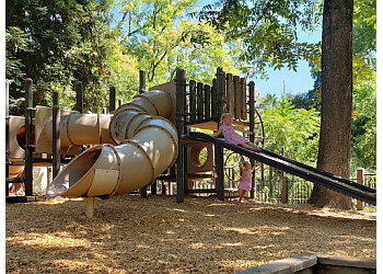 Stockton Public Parks Louis Park